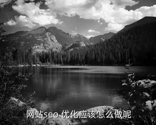 网站SEO优化方案网站seo快速排名优化