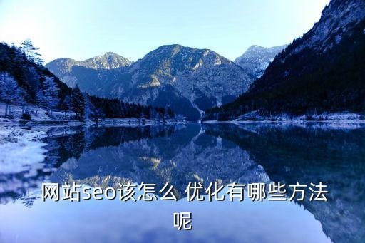 网站SEO优化方案网站seo快速排名优化(图2)