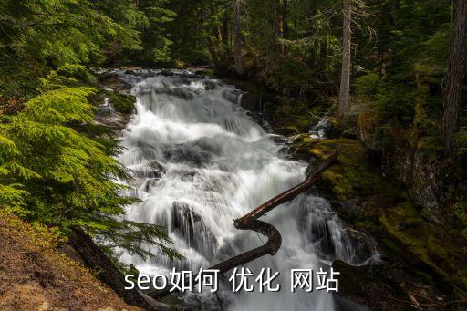 网站SEO优化方案网站seo快速排名优化(图3)